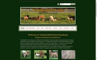 Trimburfield Farm Finnsheep