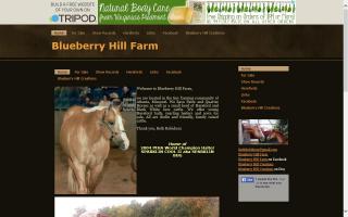 Blueberry Hill Farm Registered Herefords