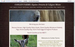 Conlen Farms: Equine Dreams & Calypso Moon