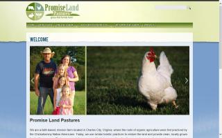 Promise Land Pastures
