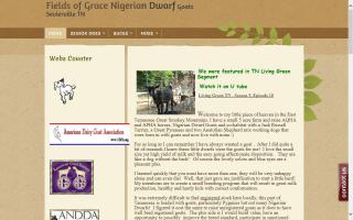 Fields of Grace Nigerians