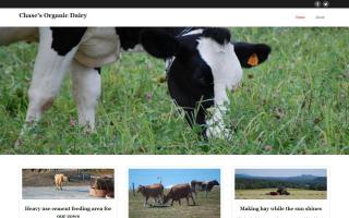 Chase's Organic Dairy