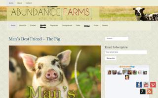 Abundance Farms