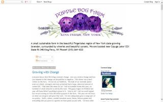 Purple Dog Farm