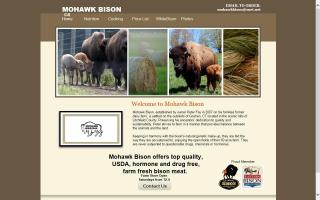 Mohawk Bison