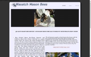 Wasatch Mason Bees