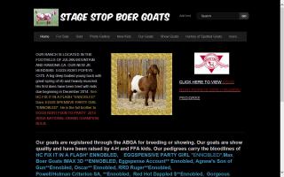 Stage Stop Boer Goats