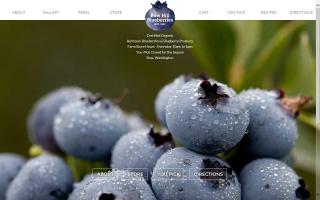 Bow Hill Blueberries