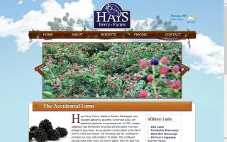 Hays Berry Farms