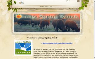 Orange Spring Ranch