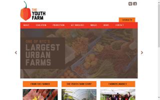 High School for Public Service Youth Farm Market