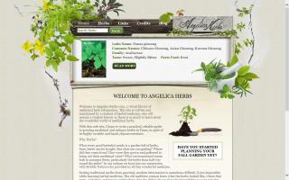 Angelica Herbs