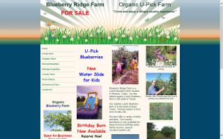 Blueberry Ridge Farm Bed and Breakfast