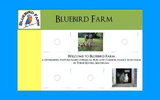 Bluebird Farm