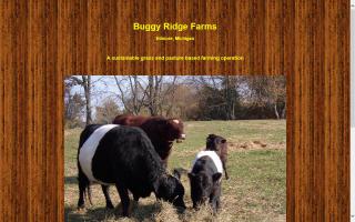 Buggy Ridge Farms