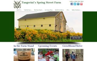 Tangerini's Spring Street Farm