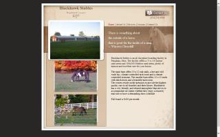 BlackHawk Riding Academy & Stables