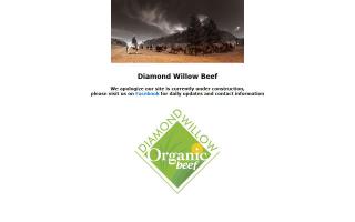 Diamond Willow Organics Limited