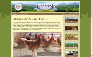 NestFresh Eggs