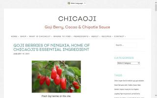 Chipotle Chili Sauce - Blog