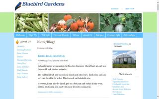 Bluebird Gardens - Blog