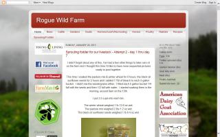 Rogue Wild Farm